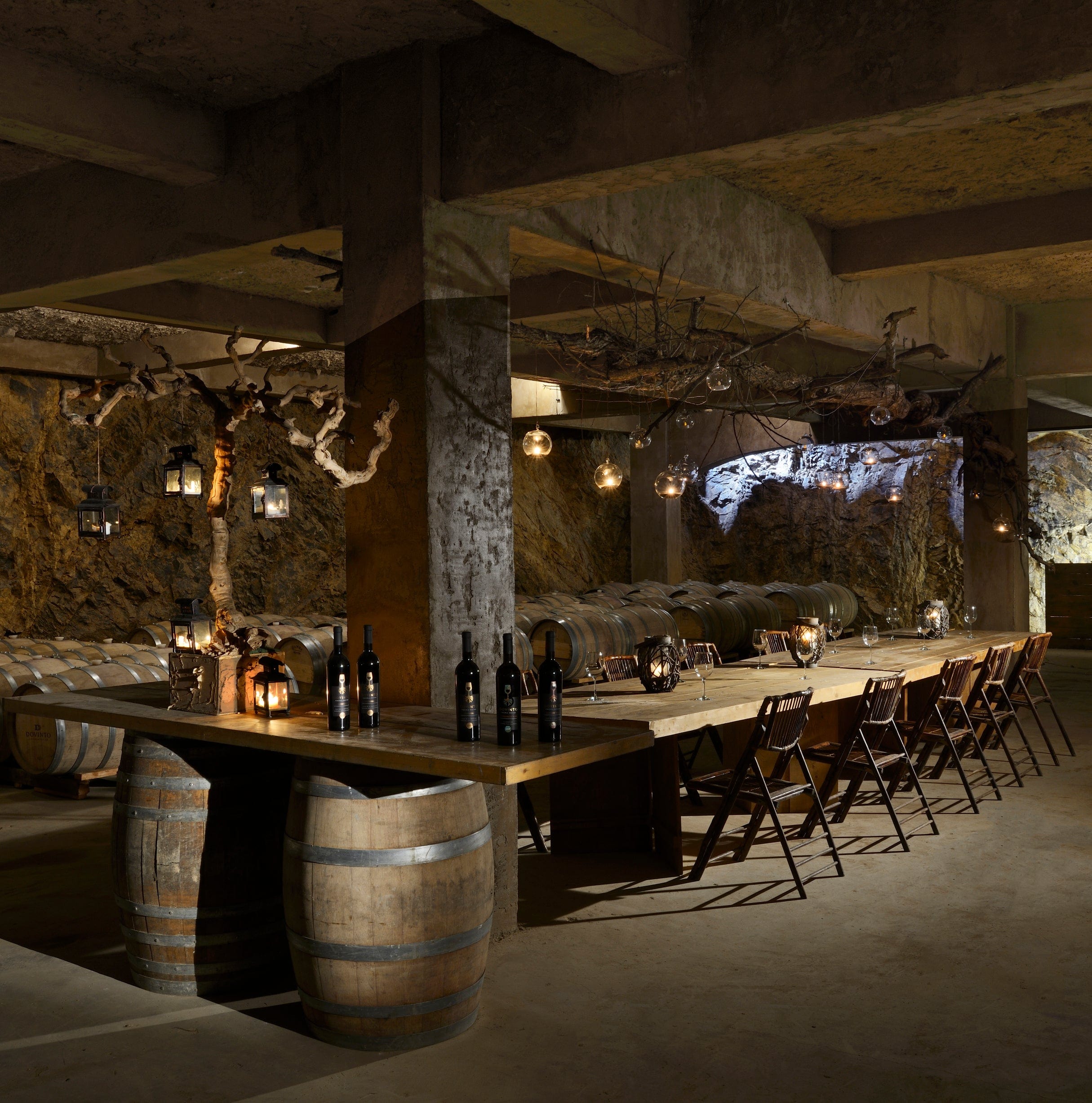 VINEYARD EXPERIENCE