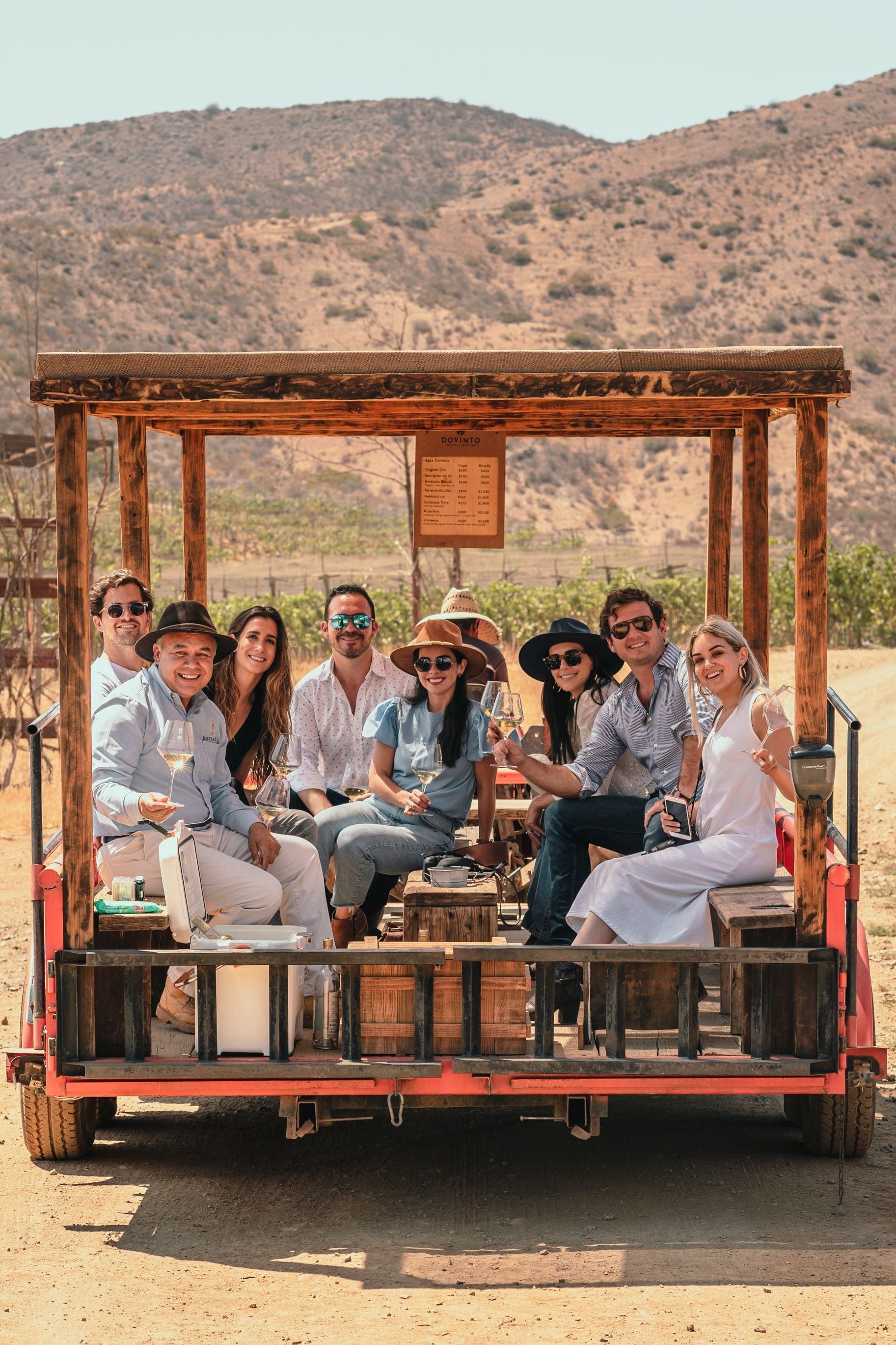 VINEYARD EXPERIENCE
