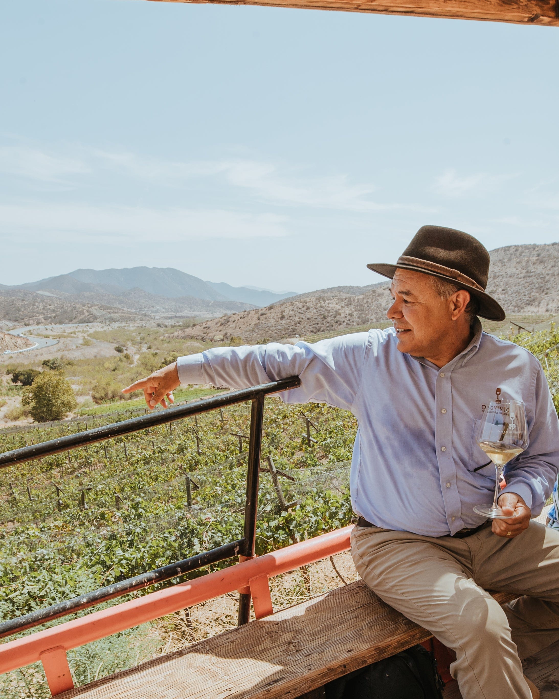 VINEYARD EXPERIENCE
